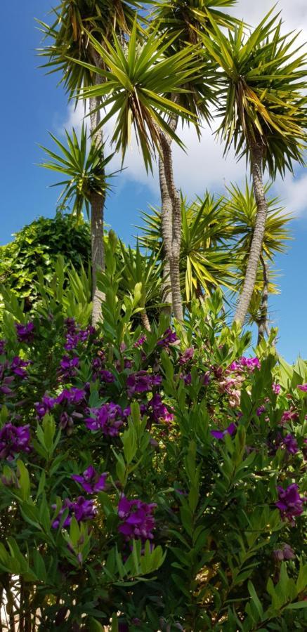 Villa Quinta Da Violeta Loule Bagian luar foto