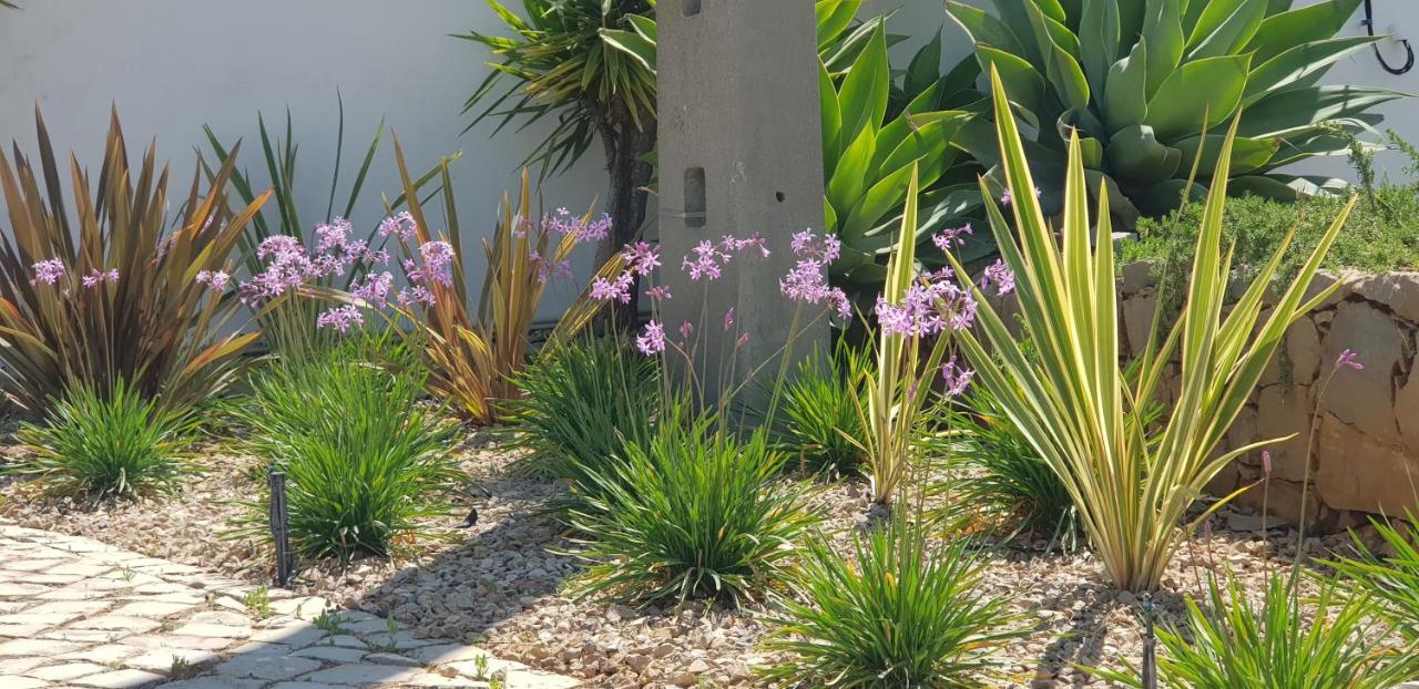 Villa Quinta Da Violeta Loule Bagian luar foto